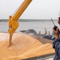 Экспортеры пшеницы Европейского союза обеспокоены объемами поставок из России