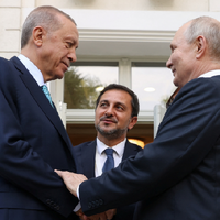 Почему Путин и Эрдоган не договорились о возобновлении зерновой сделки 