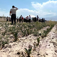 В шести районах Жамбылской области объявлен режим ЧС