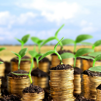 Инвестиции в АПК Казахстана выросли на 22% за год