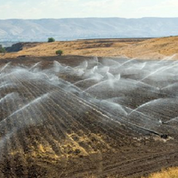 Израильские агротехнологии и методы управления водными ресурсами предложили применять в Казахстане