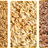 Продкорпорация Казахстана начала продажу зерна прошлогоднего урожая на товарной бирже