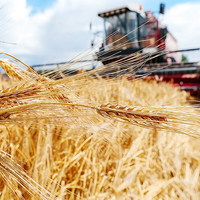 Более 2000 комбайнов задействовано в уборочной кампании в Карагандинской области