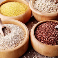 В Северо-Казахстанской области откроются сразу несколько заводов по производству круп