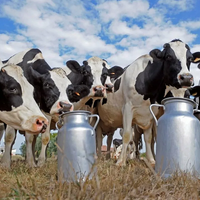 Более 6 млрд. тенге вложено в производство молочной продукции в Западно-Казахстанской области