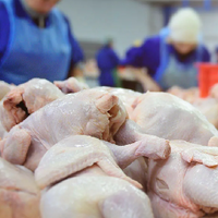 В Казахстане производство мяса птицы в первом квартале выросло на 14,4%