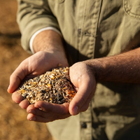 Фермерский кризис: мажилисмены просят ввести режим ЧС в нескольких областях Казахстана из-за плохого урожая 