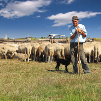 В Казахстане часть земель бывшего ядерного полигона в Семее введут в сельскохозяйственный оборот