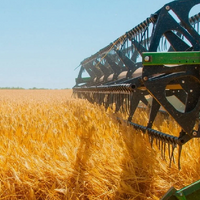 На начало октября костанайские аграрии намолотили 2,8 млн. тонн зерна, что составляет 70% от площади