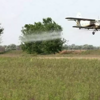 В Костанайской области от саранчи обработано 94% посевных площадей 