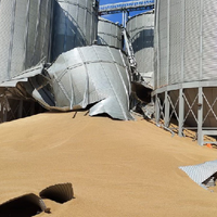 В Костанае от удара молнии обрушилось  зернохранилище 