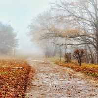 Какая погода ожидается в Казахстане в октябре?