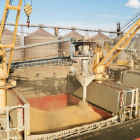 После ударов России по украинским портам азиатские покупатели будут искать альтернативных поставщиков пшеницы