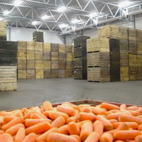 В ЕАЭС намерены развивать онлайн-торговлю сельхозпродукцией