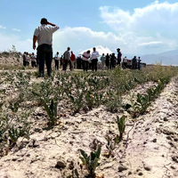 В Казахстане пострадавшим от ЧС аграриям будут возмещать ущерб 