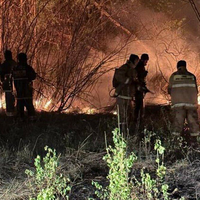 Лесной пожар в Абайской области: угроза для населённых пунктов снята