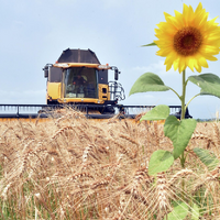 Правительство Казахстана поставило на утрату Нацпроект развития АПК