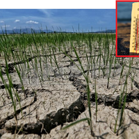 Аномальная жара до +43°: в каких регионах Казахстана ожидается сильная засуха?