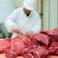 Будут ли сняты ограничения на экспорт мяса в Китай из Казахстана?