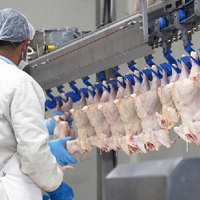 Бум экспорта мяса птицы из Казахстана: рост в 3 раза, но каковы последствия для внутренних цен? 