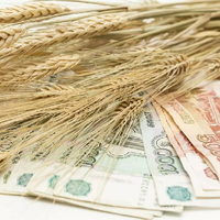 Как с газом: Путин одним указом перевел расчеты за зерно в рубли