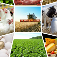 В Казахстане на развитие сельхозкооперации планируется выделить 1 трлн. тенге