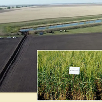 Реорганизация НАНОЦ: казахстанские СХОСы передадут трем аграрным вузам