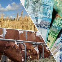 Казахстанским фермерам до сих пор не выплатили почти 32 млрд. тенге субсидий