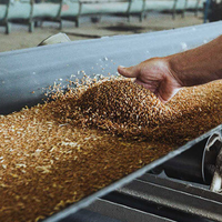 Казахстанским аграриям будут выделять льготное дизтопливо на сушку семян