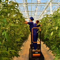 Невыгодный бизнес: на 18 % за год сократились площади теплиц в Казахстане