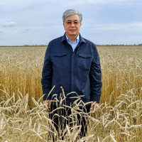 Президент Казахстана поручил оказать помощь производителям зерна северных регионов