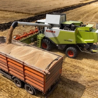 Казахстанские аграрии намолотили первый миллион тонн зерна нового урожая