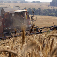 Белорусские аграрии намолотили более 5,8 млн. тонн зерновых колосовых, зернобобовых и рапса