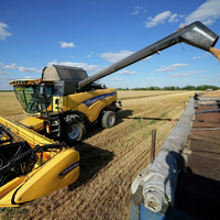 Казахстанские аграрии на 22 августа собрали 2,8 млн. тонн зерна 