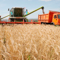 Урожай-2023: казахстанские аграрии намолотили уже 4,7 млн. тонн зерна