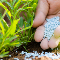 В Казахстане производство азотных удобрений сократилось на 10,4% за год, фосфорных - сразу в 14 раз