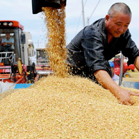 Даулет Увашев: 