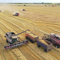 Жаркое лето: из-за аномальной жары в Омской области начали уборку урожая раньше срока
