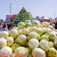 В Астане в рамках Дней культуры Таджикистана досрочно закрылась сельхозярмарка на площади EXPO