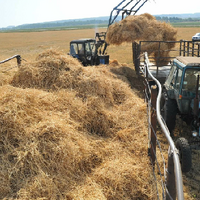Грозит Казахстану дефицит кормов в 2023 году? К середине лета заготовлено всего 32% сена