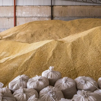 Запасы пшеницы в России на начало сентября ниже прошлогодних на 9,4%