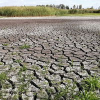 В августе сильная засуха ожидается в трех областях Казахстана