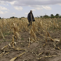 Эксперты Казгидромета проходят в Германии курсы по мониторингу засухи 