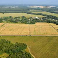 Будут ли в Казахстане проводить земельную амнистию?