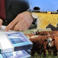 Будет ли Агробанк в Казахстане? Готов ли Минсельхоз приступить к практической реализации этого вопроса? 