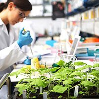 За 30 лет численность научных работников в аграрной сфере Казахстана сократилась с 6580 до 902