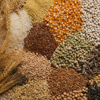 Экспорт сельскохозяйственной продукции в Казахстан из Алтайского края увеличился за пять лет в шесть раз 