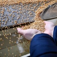 Российским экспортерам зерна увеличили квоты