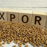 Продкорпорация Казахстана приступает к экспорту неклассной пшеницы от фермеров