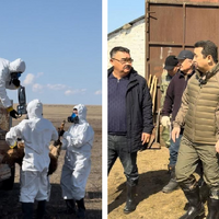 Паводки в Казахстане: руководящий состав Минсельхоза выехал в пострадавшие от подтоплений регионы